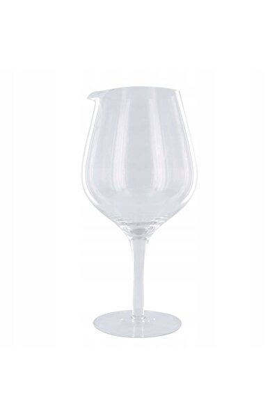 HowHomely Decantor de vin Vinario, 1,6L, pahar de sticlă cu cioc pentru turnare
