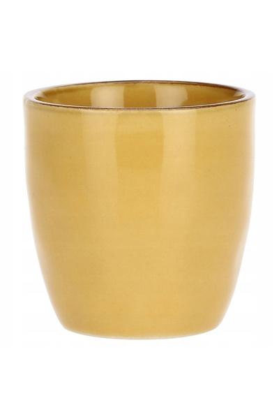 NO BRAND ROSE&TULIPANI CONCERTO OCRA Set de 6 cești de cafea 100 ml