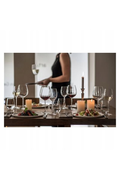 Schott Zwiesel PRIZMA Bordeaux 561 ml CRISTAL