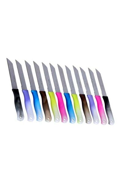 Generic 12-Piece Stainless Steel Steak Knife Set Green/Blue/Pink 12x12cm