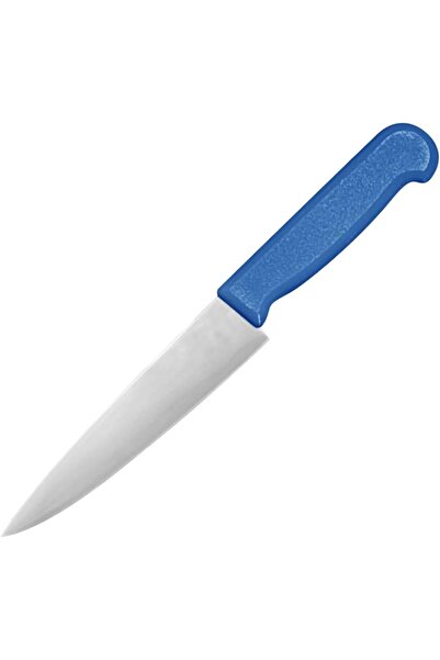 Generic Kitchen Master 6 Inch Stainless Steel Professional Chef Knife (Blue) ...