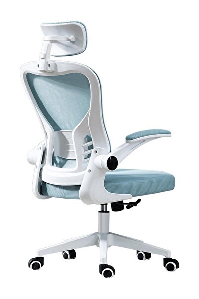 Arabest Ergonomic High Back Mesh Office Chair,Adjustable Lumbar Support and H...