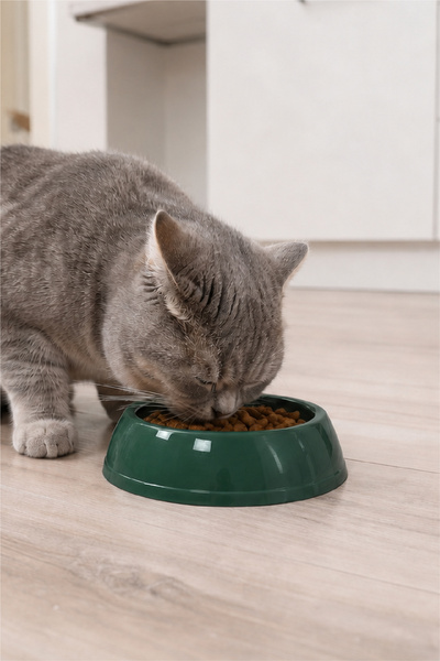 Yuvarlak Plastik Mama Ve Su Kabı Kedi Köpek Mama Kabı Evcil Hayvan Mama Kasesi