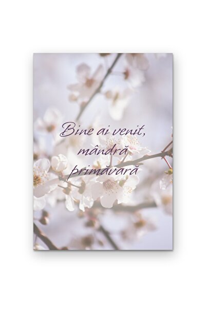 OEM Poster Carton 250g A4, Tablou de perete cu citat Bine ai venit mandra pri...