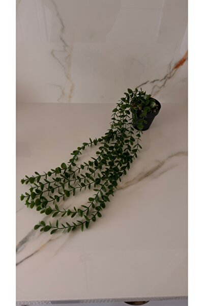 saksılı sarmaşık okaliptüs yapay bitki