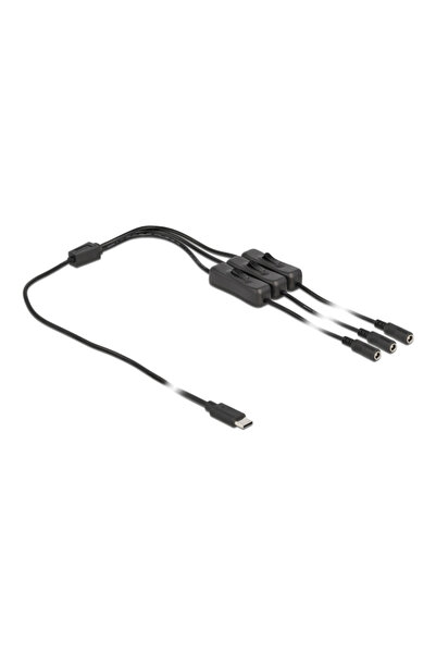 DELOCK Καλώδιο USB Type-C σε 3x DC 5.5 x 2.1mm 86801, 1μ, μαύρο