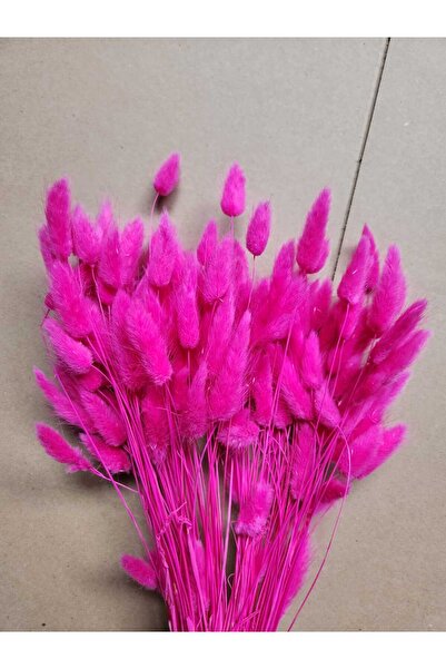 asievents Lagurus Ciclam – Iarbă uscată pentru iepuri, Buchet mare 90-100g