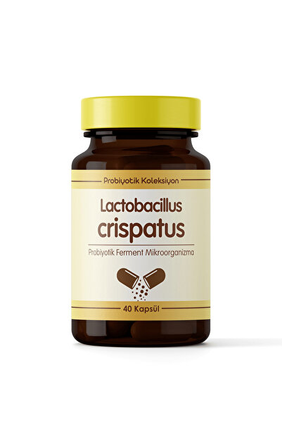 Probiyotik Koleksiyon Lactobacillus crispatus