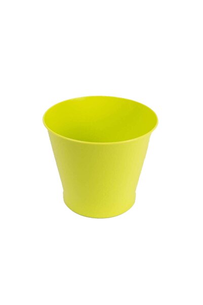 OEM Ghiveci din plastic Zinnia, lime D 9.5 cm