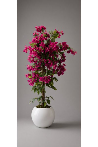 RUZGARCİCEK Rüzgar Yapay Çiçekçilik 150 cm Begonvil Ağacı