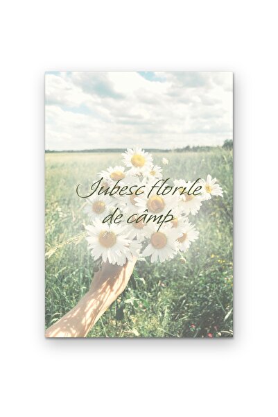 OEM Poster Carton 250g A4 Arta de Perete Citat Iubesc Florile de Camp, Design...