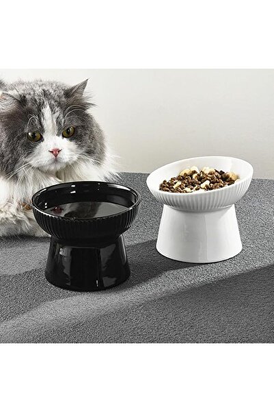 GENERAL 2 Pcs Ceramic Raised Cat Bowls, Elevated Tilted Cat Food and Water Bo...