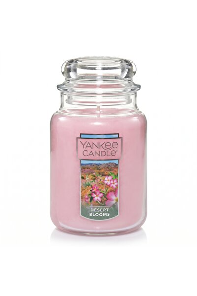 Desert Blooms Büyük Kavanoz Mum (623,7 gr) – Pembe Çiçek, Kaktüs ve Odunsu Notalar Kokulu Dekoratif Mum