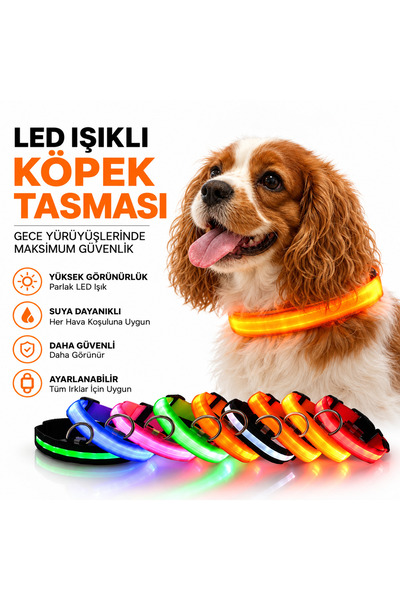 Ayarlanabilir LED Işıklı Köpek Boyun Tasması – Gece Görünürlük Tasması