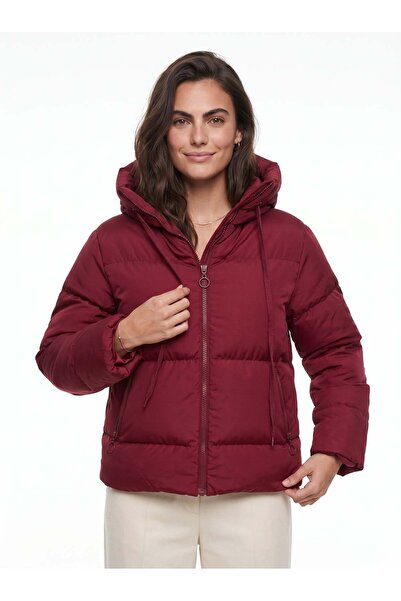 Juuuj Dark Burgundy Cotton Lycra Stretch Fabric Hooded Zipper Detailed Fiber ...