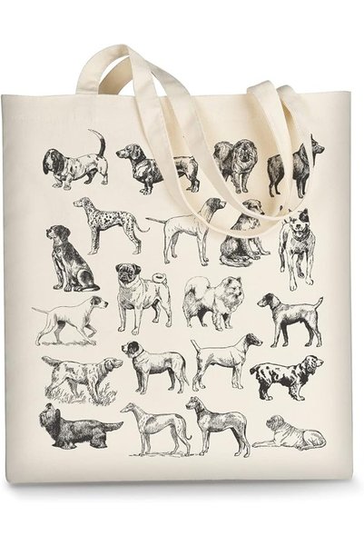 GENERAL AUSVKAI Canvas Tote Bag Aesthetic for Women, Cute Reusable Cloth Cott...