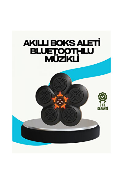 Atlasnua® Ev Tipi Akıllı Boks Duvar Paneli Müzikli Bluetoothlu Refleks Geliştirme Cihazı