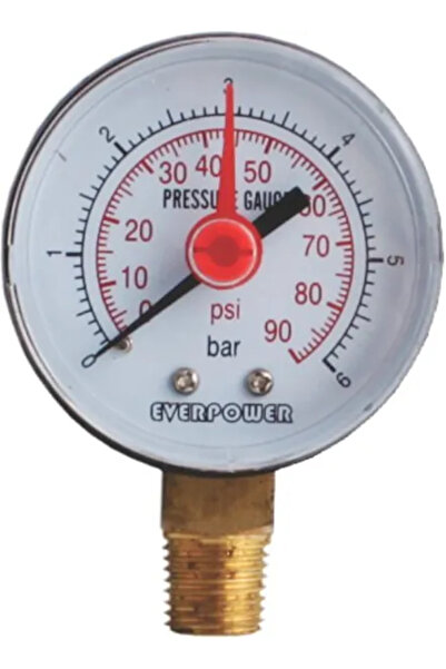 Everpower Manometru presiune 0-10 bar, racord 1/4" filet exterior