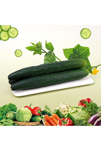 GENERIC4 قطعتان من الخيار والباذنجان الاصطناعي من بوليغو للديكور الصناعي، مصنوعان من البولي يوريثان الناعم، خضروات واقعية لتزيين المنزل والمطبخ وطاولة العرض - المجموعة 1