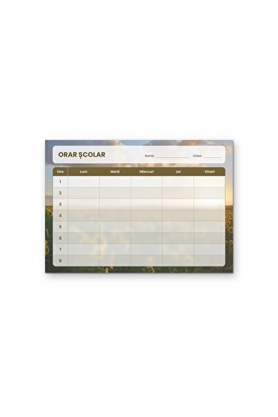 OEM Orar școlar Câmp de floarea-soarelui, Luni-Vineri 8 ore, Carton 250g, A4 ...