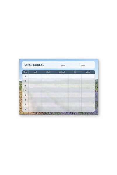 OEM Orar școlar Câmp de lavandă, Luni-Vineri 8 ore, Carton 250g, A4