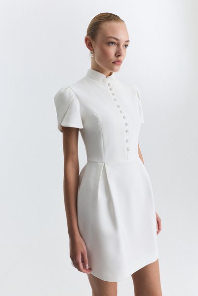 Antioch Pleated Sleeve Mini Dress