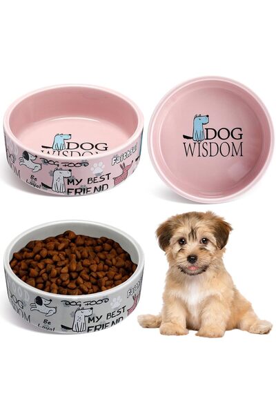 Generic 2 Pcs 5 Inch Ceramic Dog Bowl Cartoon Pattern Cat Bowl Dog Food Bowls...