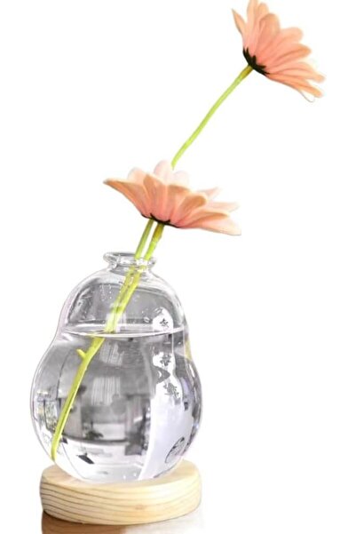 Generic محطة تكاثر النباتات، وعاء زجاجي للنباتات مع حامل خشبي قابل للتعديل، م...