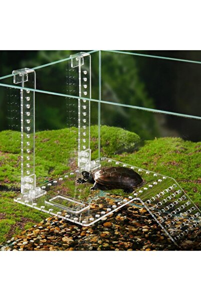 Generic Turtle Basking Platform, Turtle Tank Accessories,Acrylic Turtle Tank ...