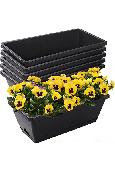 Generic Orchid Pot, 6 Pack 4 Inch Transparent Plastic Plant Pots, Clear Orchi...
