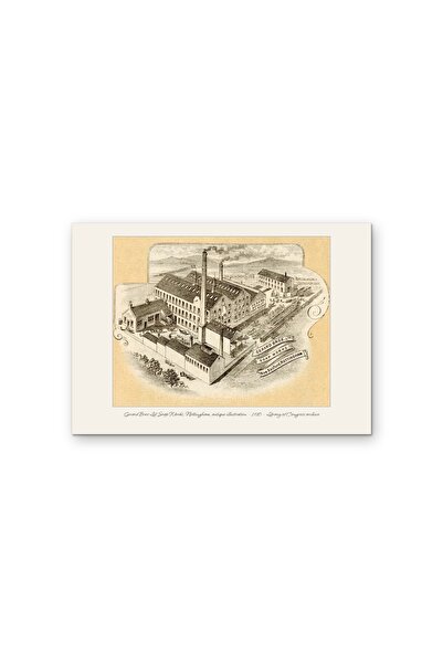 OEM Poster Carton 250g A4, Reclama Veche Sapunarie Gerard Bros Ltd 1910, Ilus...