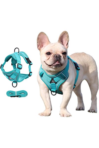 Generic Cat Harness and Leash Set Escape Proof, Kitten Leash for Walking, Adj...
