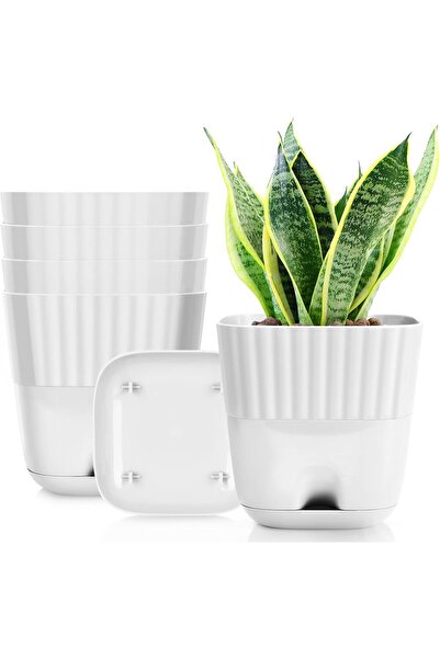 Generic 6 inch Plant Pot for Plants Indoor, 5 Pack Square Plant Pots with Dra...
