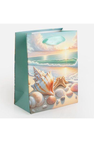 OEM Sacosa Cadou cu Model Scoica 11x6x14cm