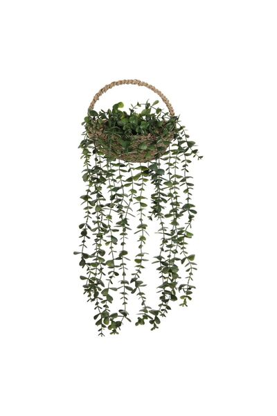 OEM Ghiveci Decorativ Suspendabil cu Planta Curgatoare 60cm