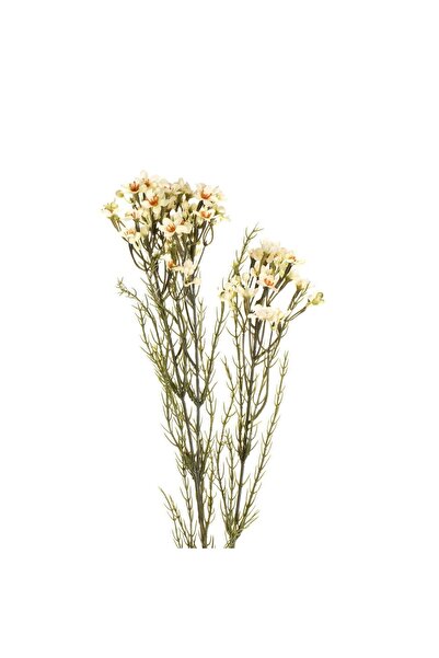 OEM Floare Artificiala cu Tulpina Lunga & Flori Albe 79cm