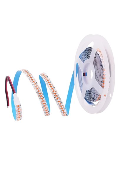 Cata CT 4539G 240 ÇİP PREMIUM ŞERİT LED GÜNIŞIĞI (5 mt) - PH