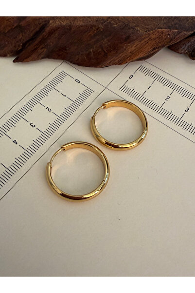 Rupen Kraft 316 L Surgical Steel Hoop Earrings Gold Color Hoop Earrings Hoop ...