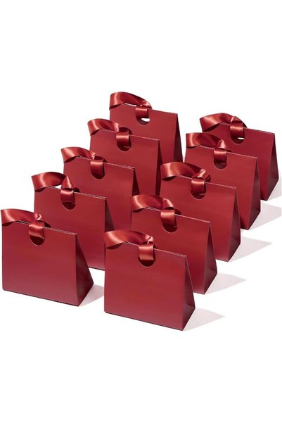 KASTWAVE 10-Pack Paper Gift Bags, Gift Wrap Bags with Ribbon Handles, Reusabl...