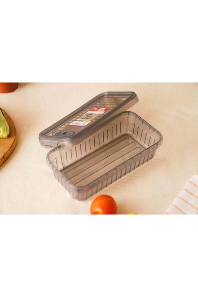 Generic FOLY LIFE Leon Storage Box 2000ml
