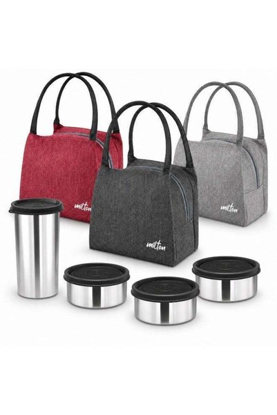 Generic MILTON Stainless Steel Tiffin Box with Bag for School, Office and Tra...