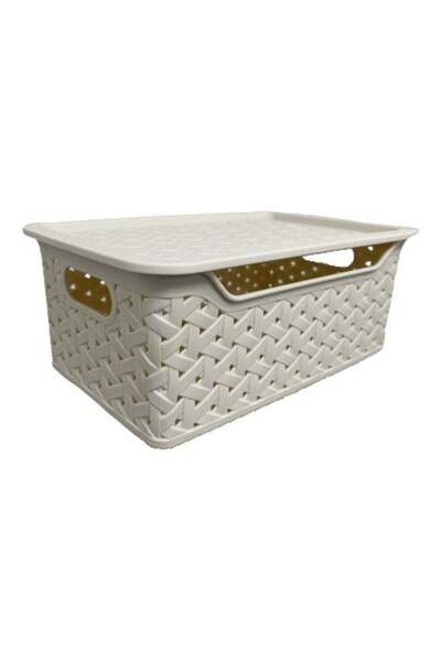 Generic 2 Pcs Multi Functional Plastic Storage Box 25x15x10cm