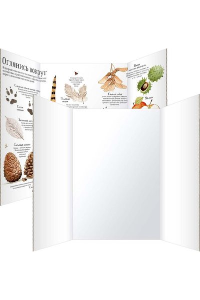 Generic ARS Trifold Poster Board 36"x48", 2 Pack White Large Corrugated Displ...