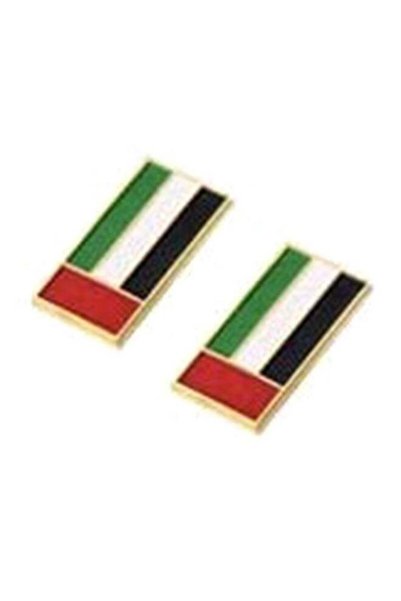 Generic 2-Piece UAE Flag Magnetic Badge Multicolour