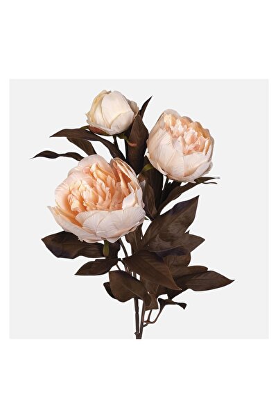 OEM Floare Artificiala cu Tulpina Lunga Bujor Crem 72cm – floare artificială ...