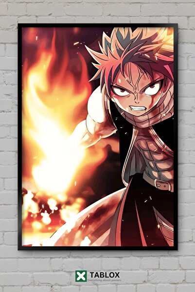 tablomaxtbx Fairy Tail Anime Manga Magic Adventure Character Poster Frame Loo...