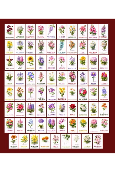 TELLGRAF Flower Themed Postcard Set (10X15 cm 79 Pieces)