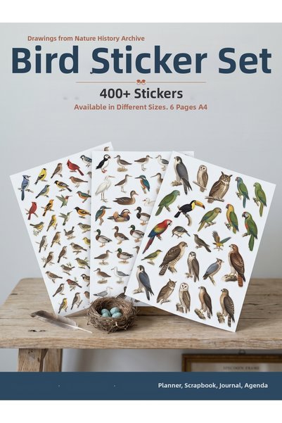 Dekorif Bird Sticker Set 400+ Pieces 9 Different Sizes Vintage Nature History Illustration Agenda Planner Journal A4