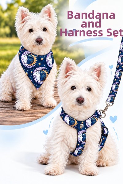 Angelapets Adjustable Scarf, Chest Harness and Travel Strap Set of 3