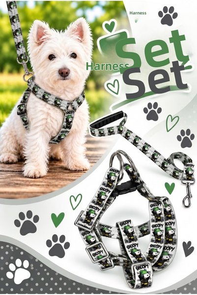 Angelapets Dog Chest Harness and Walking Strap Set